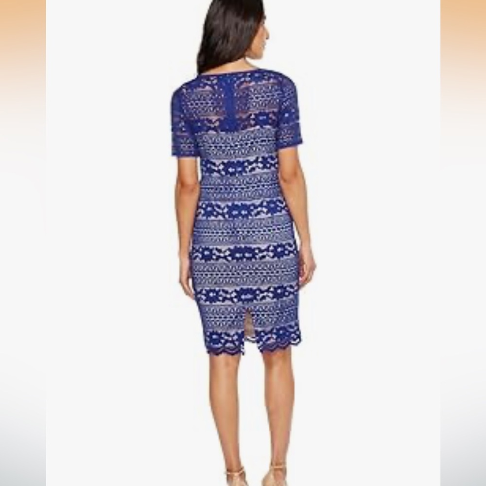 NWOT Adrianna Papell Corded Stripe Lace Sheath Dress in a royal blue 4P - Picture 3 of 13